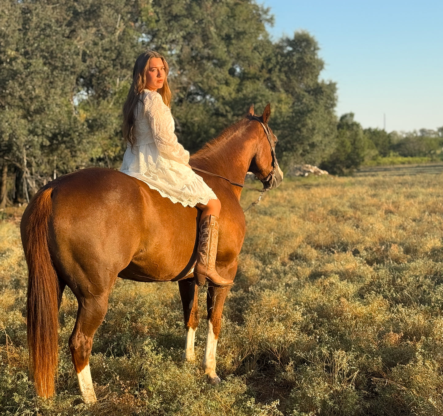 The Prairie Lace Dress