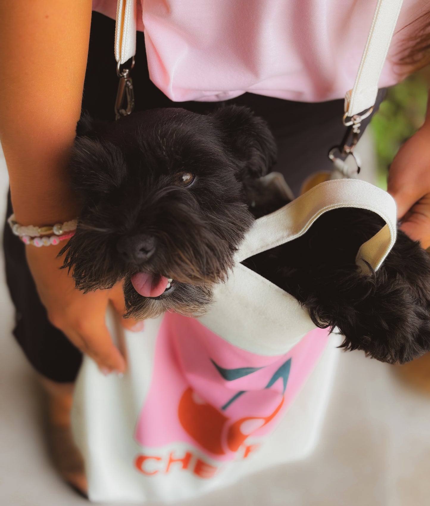 The Cherry Summer Bag